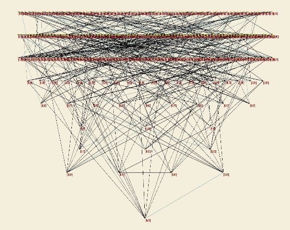 Clustering coefficient of the network