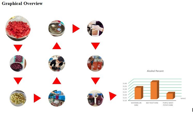 Standard protocol for the production of vegetable wine